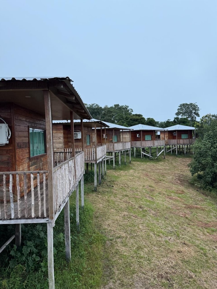 Amazon tucuna ecologico
