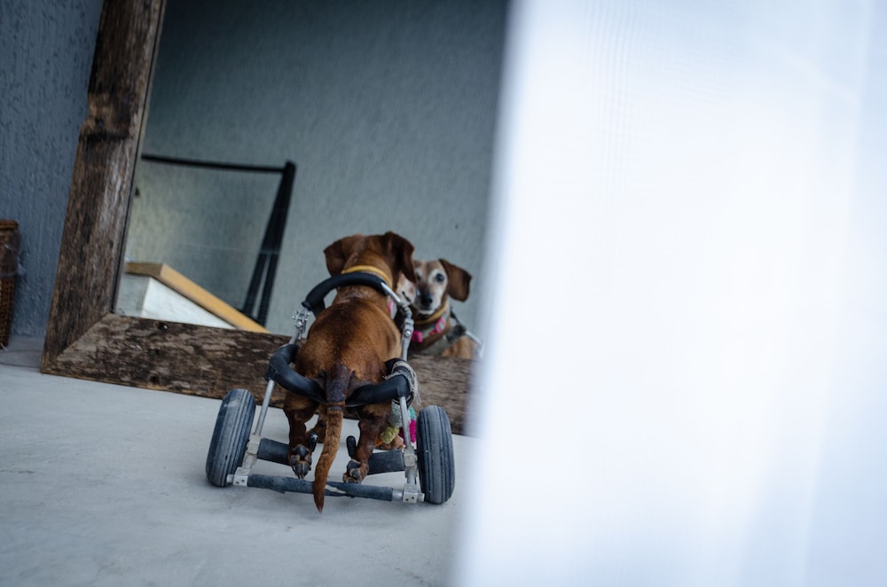 Hotelito Azul - Property Image 143