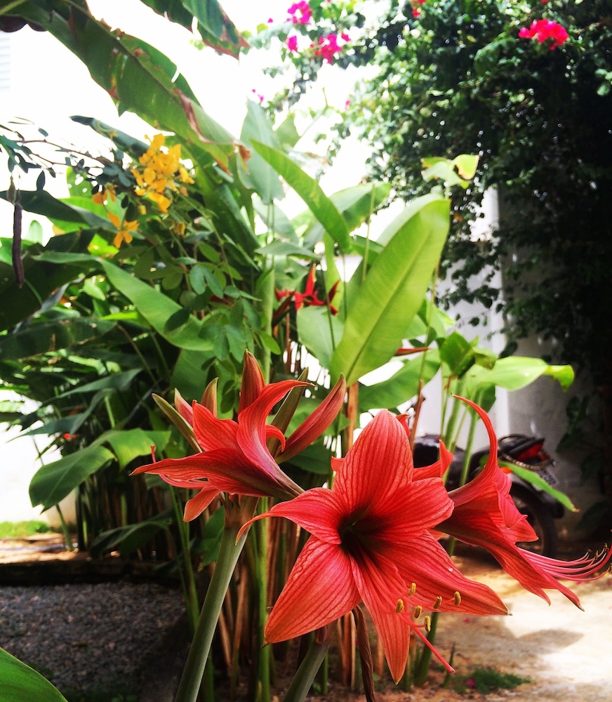 Photo 28