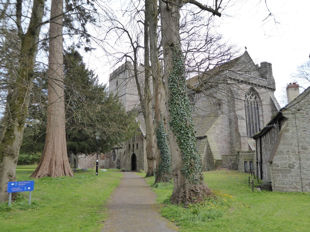 Photo 42