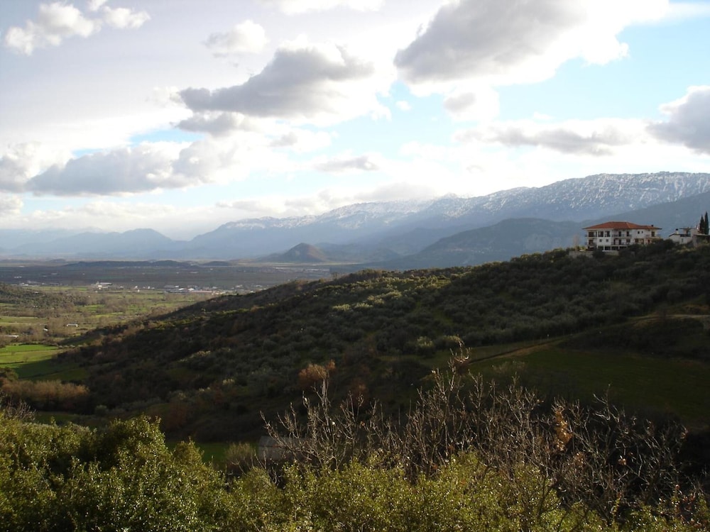 Photo 23