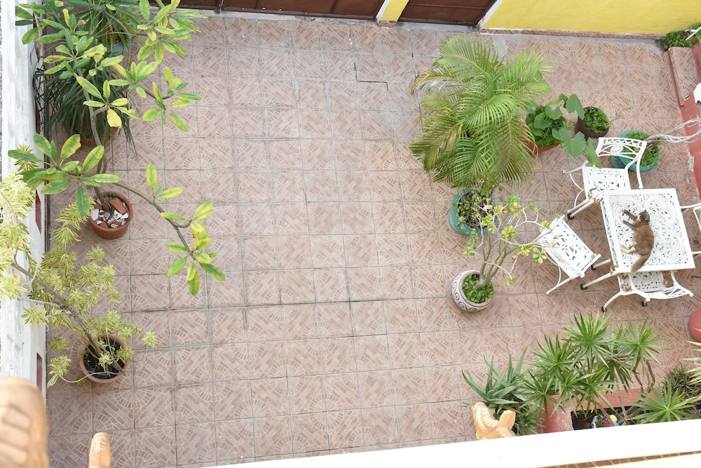 Room in B&B - Cancun Guest House 6