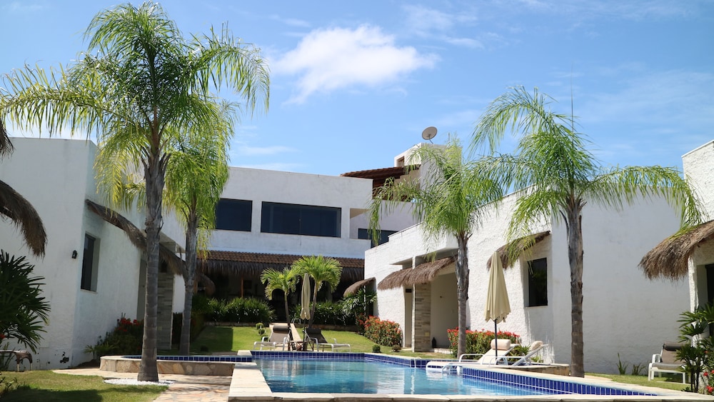 Oasis Tajaja