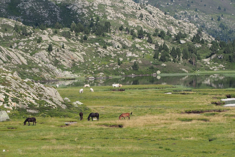 Refuge des étangs de Bassiès - Hostel