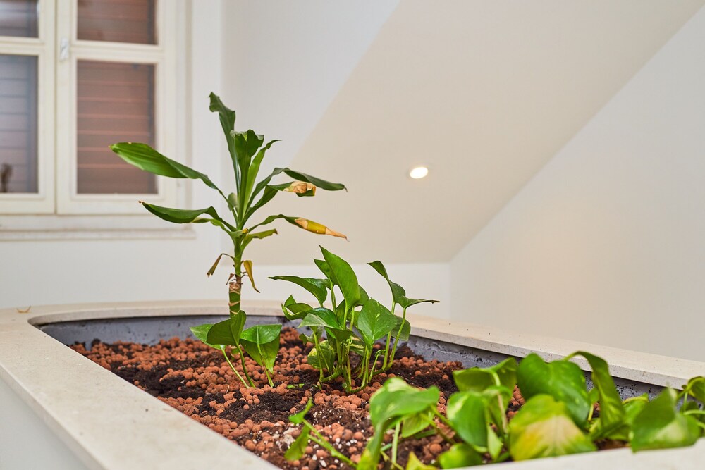 Boutique Villa Root