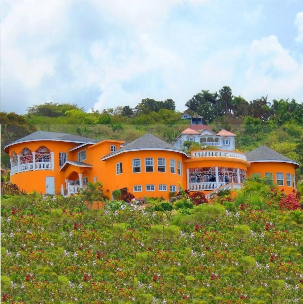 PALM TREE VILLAS view 5