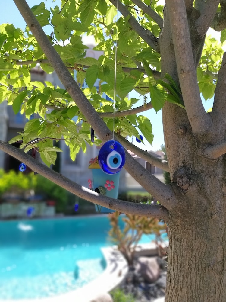 Cassiopeia Hotel Alacati - Image 8