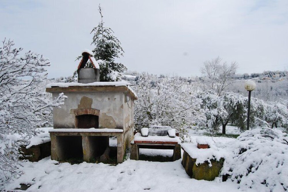 Tenuta il Pino