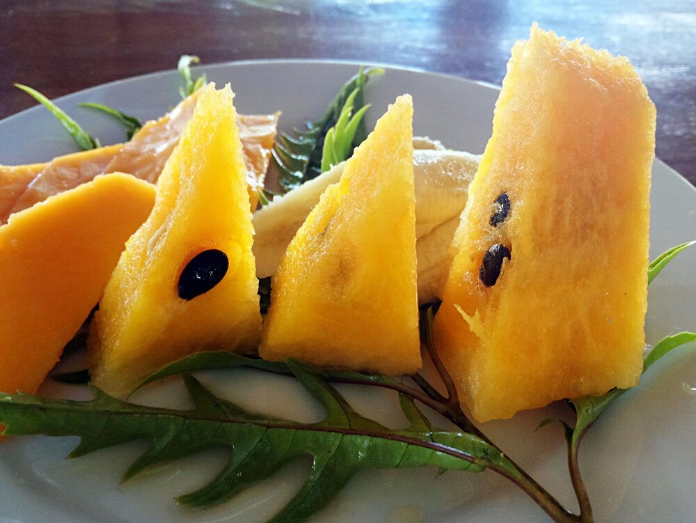 Tanna Evergreen Resort & Tours