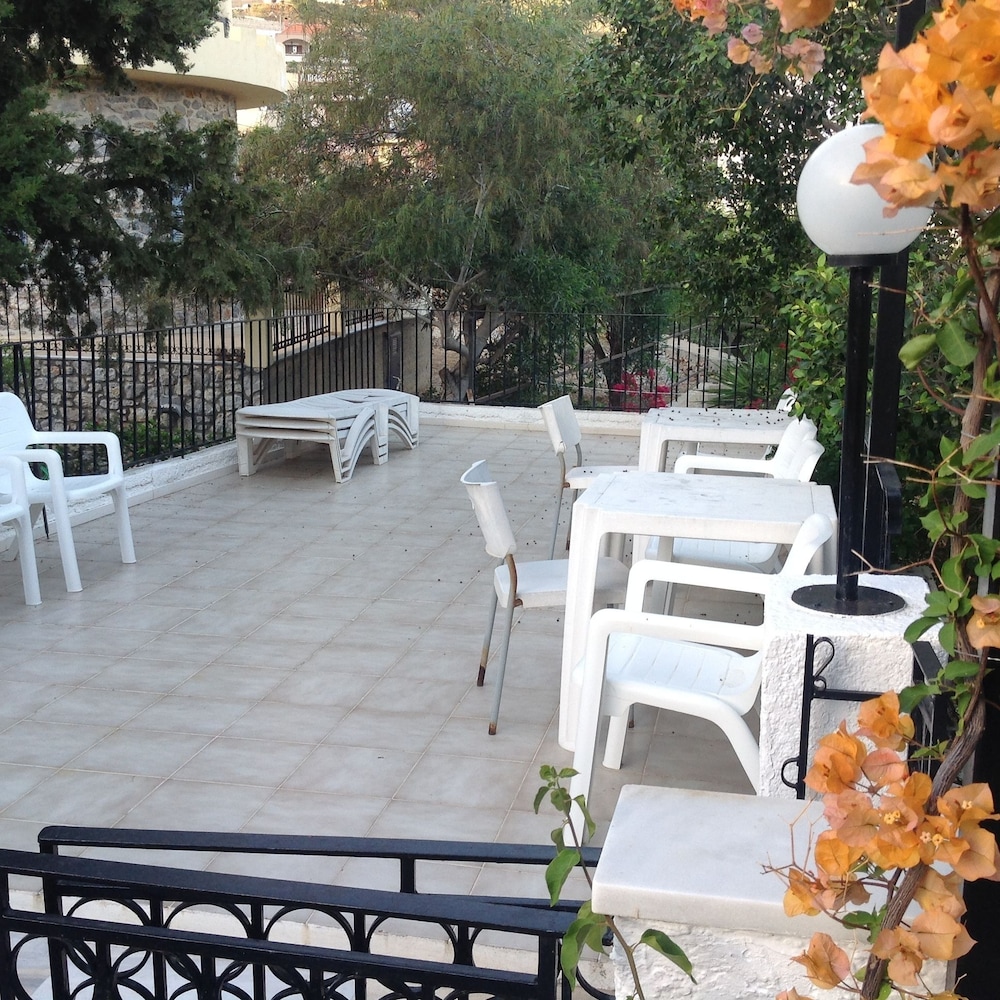 Photo 8