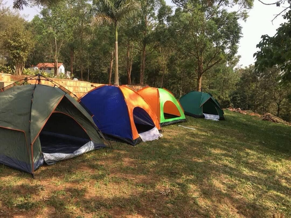 Nile Park - Campsite view 5