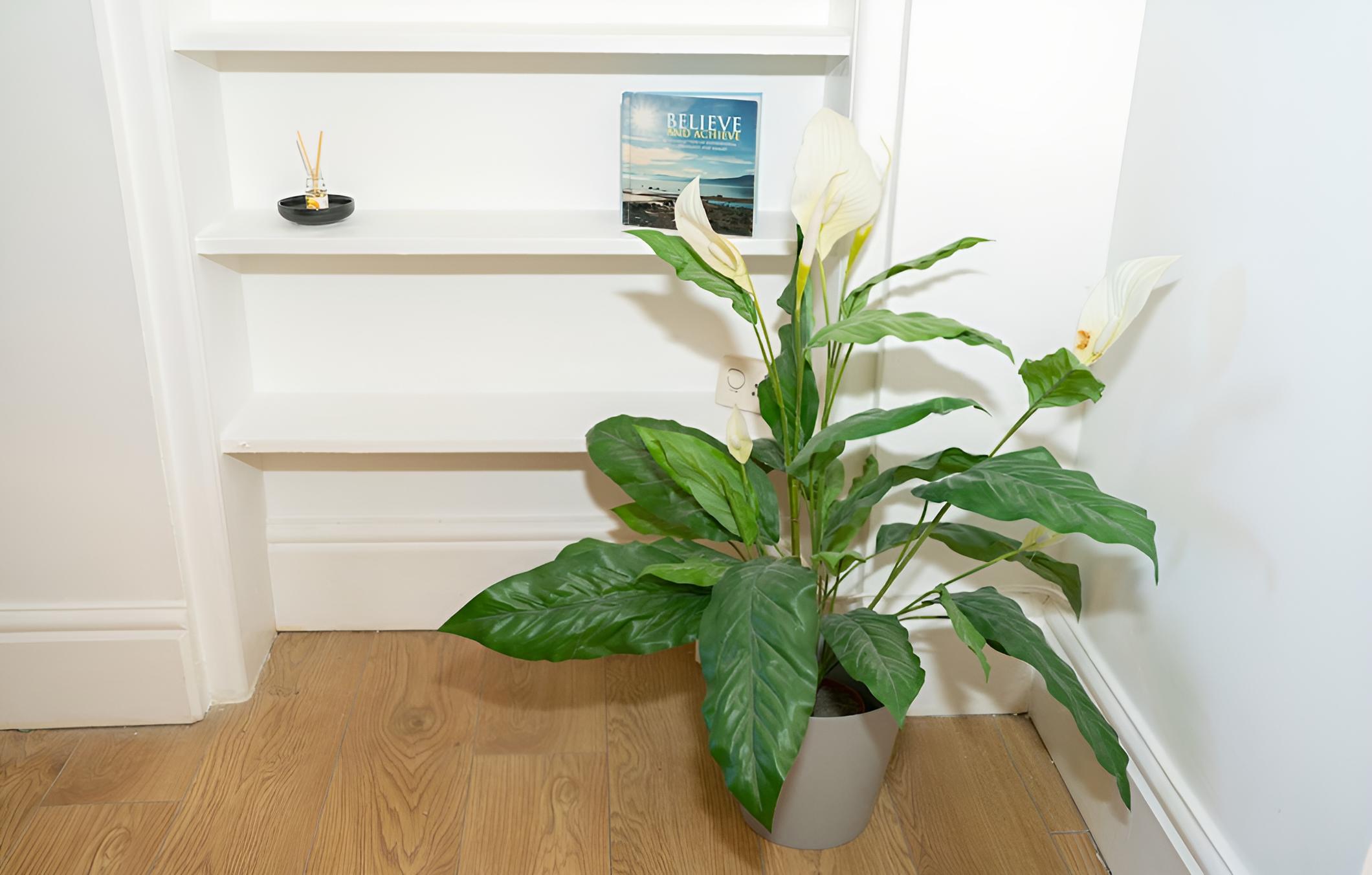 Stay @17 Cross St Tamworth view 5
