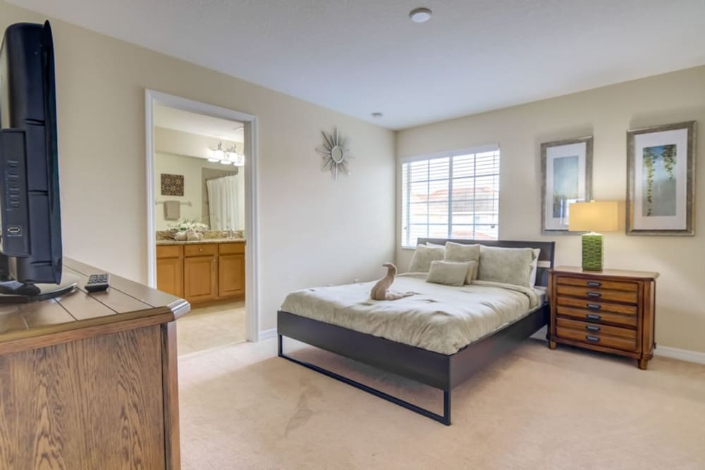 Paradise Palms 8965 - Image 4