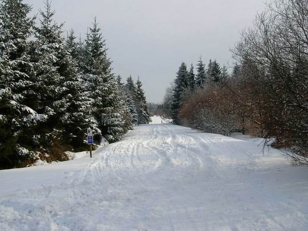 Photo 32