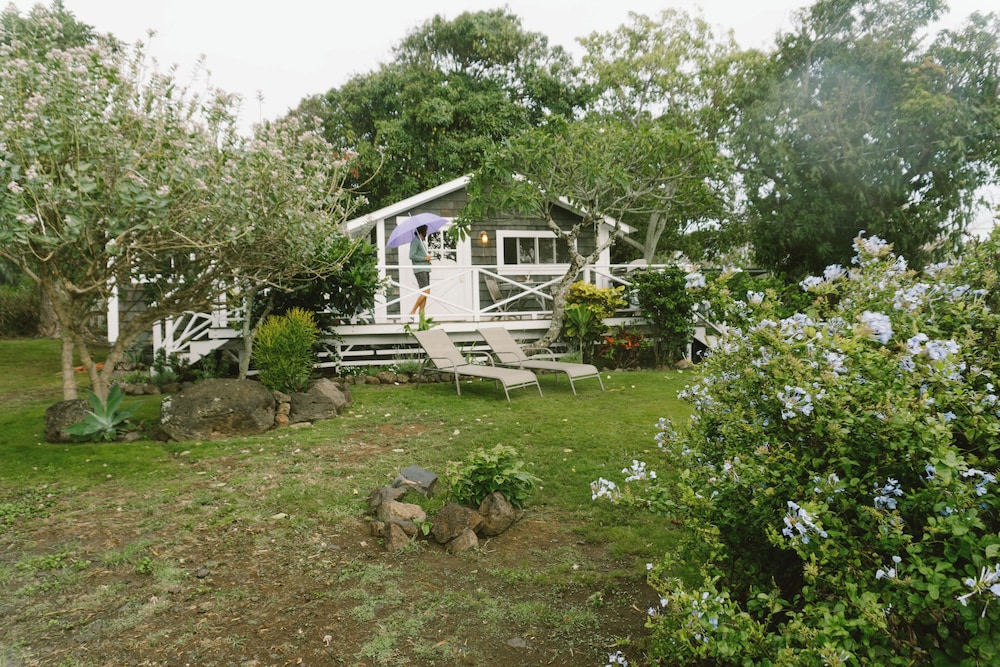 Photo 32