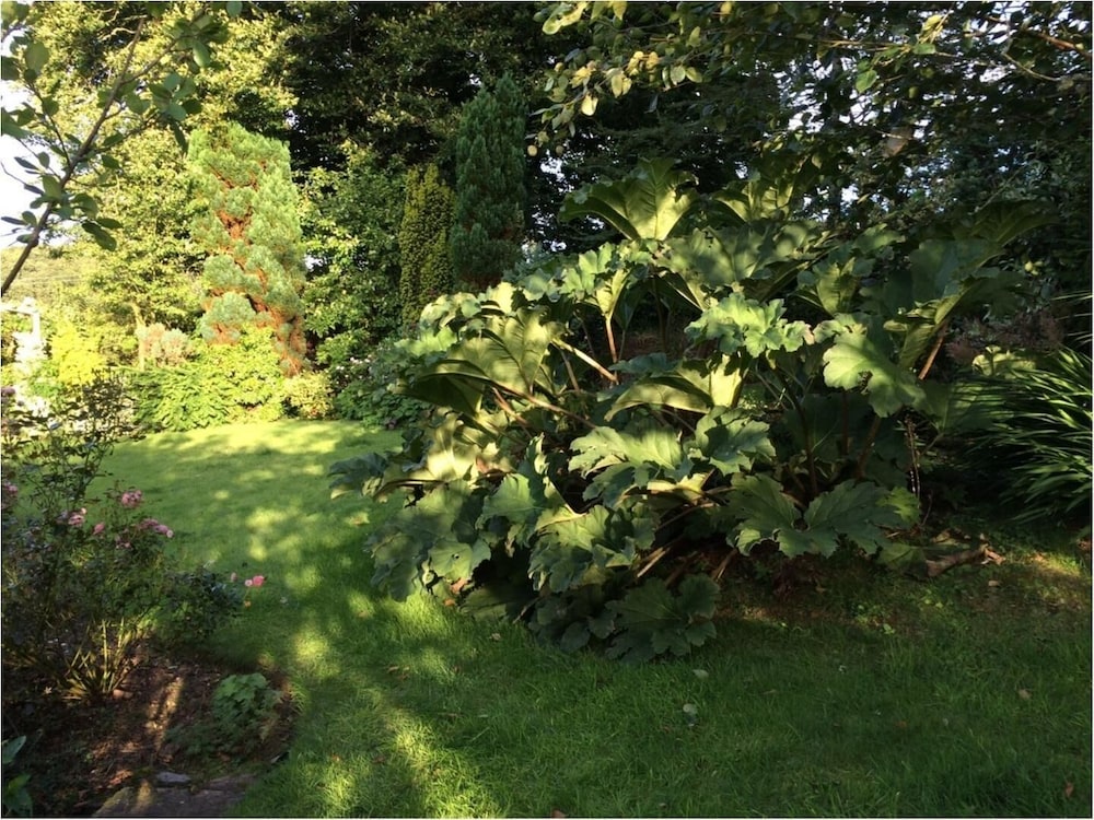 Hope Cottage view 4