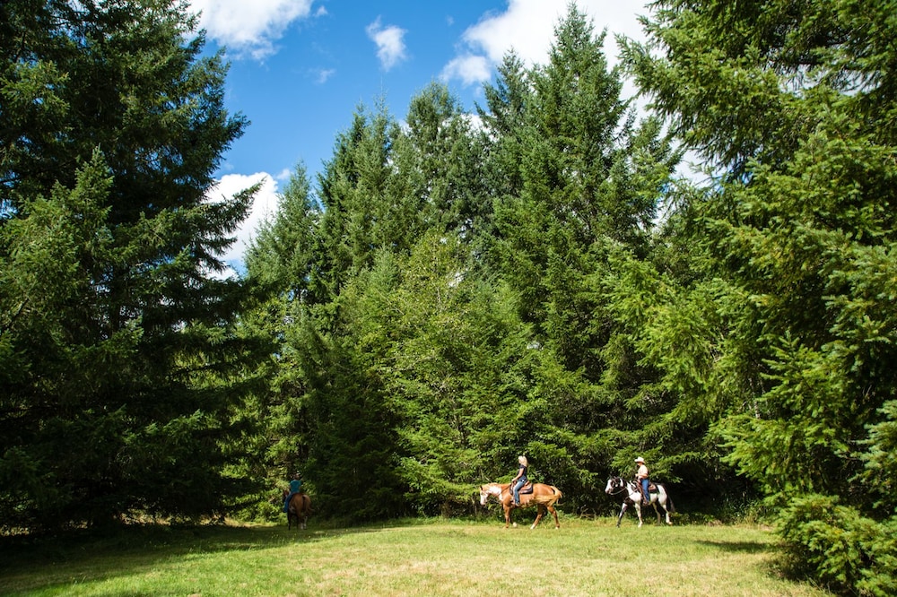 Chehalis RV & Camping Resort