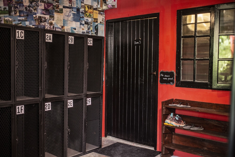House of Lion Hostel and Guesthouse photo 2