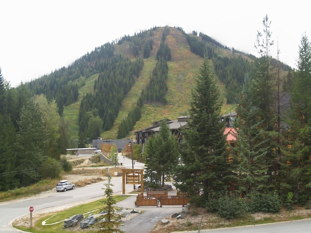 Mountain Town Properties Olaus House