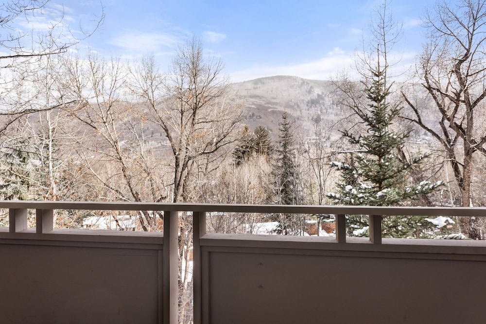 Aspen Alps