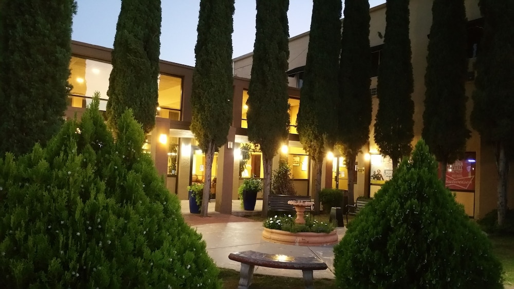 Photo 19