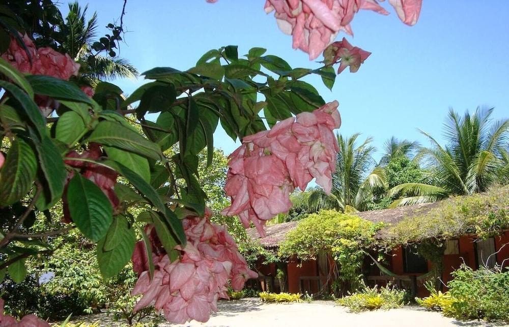 Casa de Temporada Felicidade, 38 Hóspedes, 2 Piscinas, 9 Suítes e 2 Churrasqueiras em Itacaré Bahia