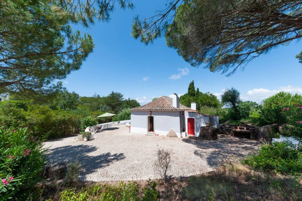 Pine Tree House in Azeit o