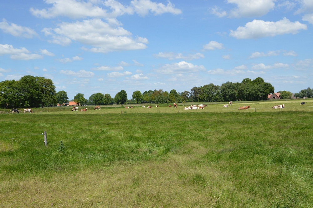 Photo 32
