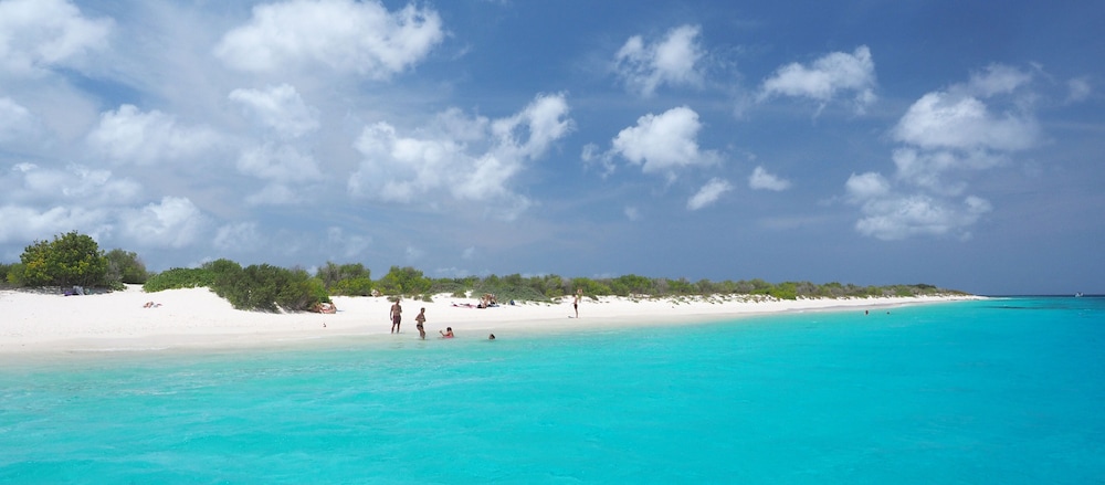 Oasis Guesthouse Bonaire Superior Suite