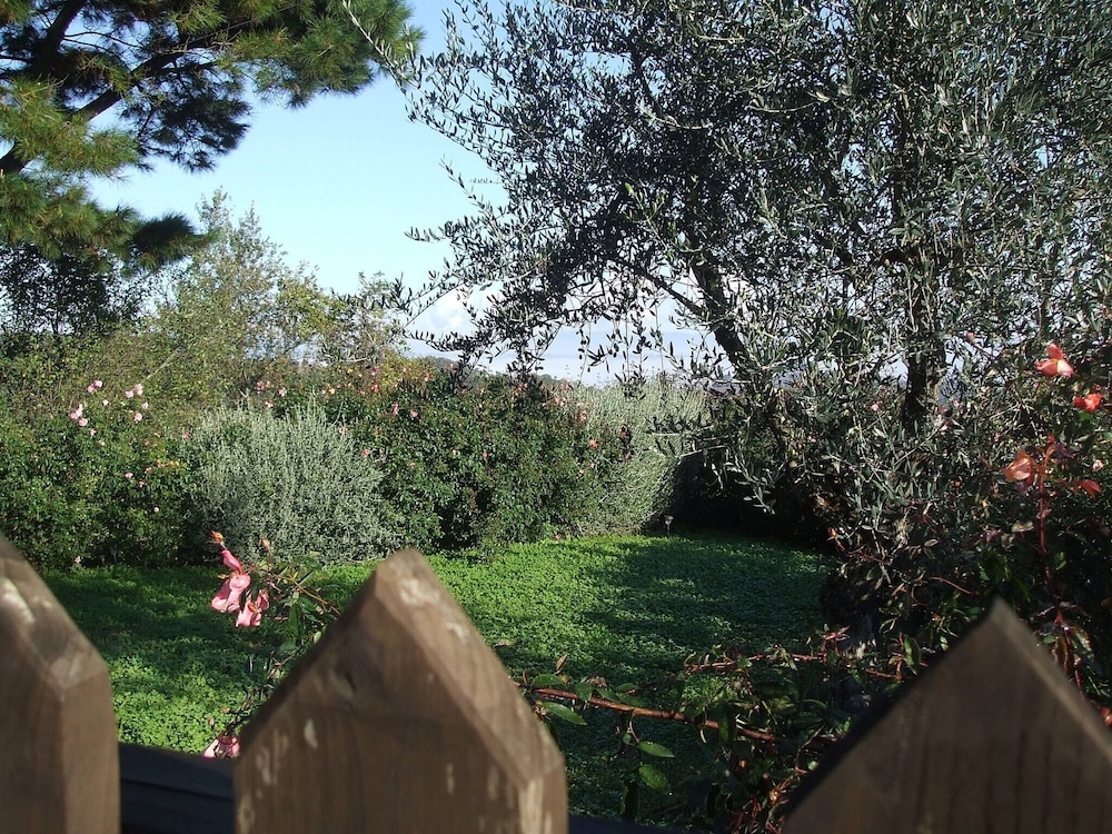 Photo 47