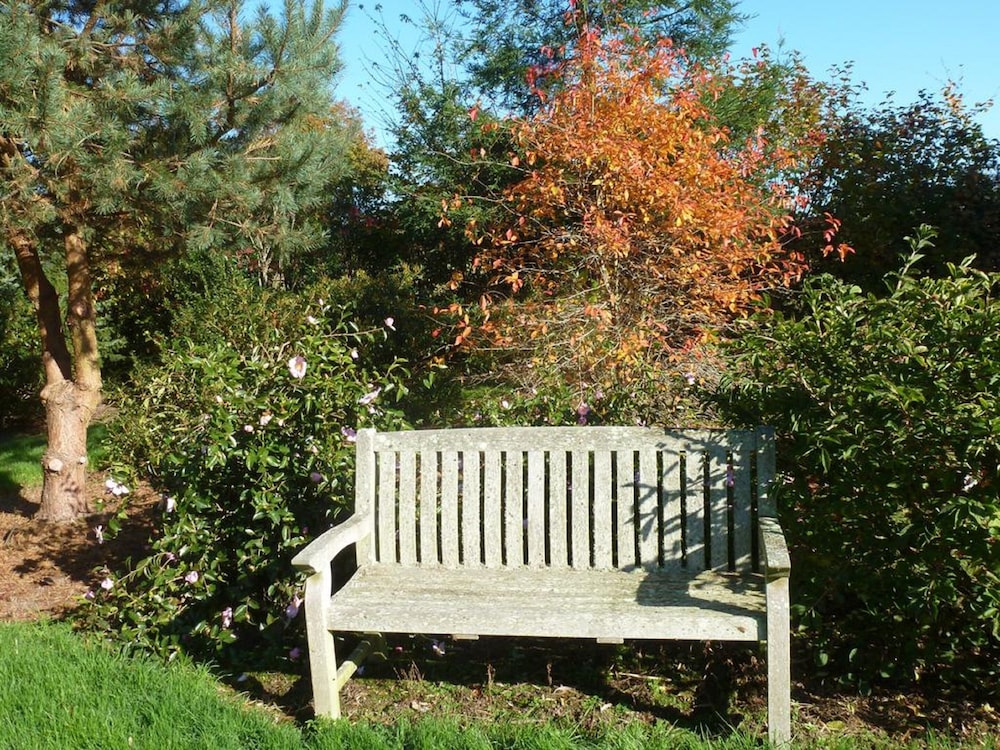 Photo 43