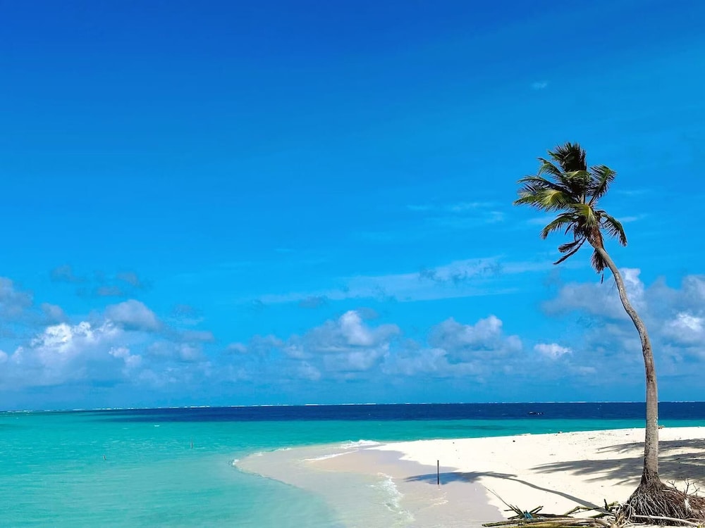 WhiteSand