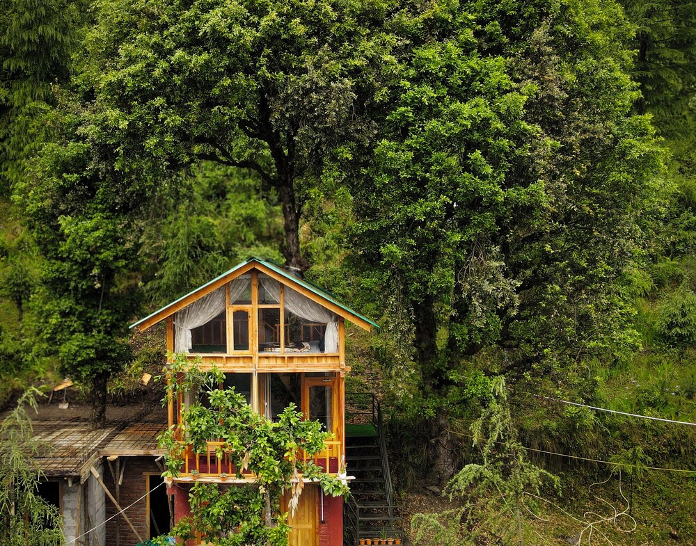 WOW Treehouse & Cottages