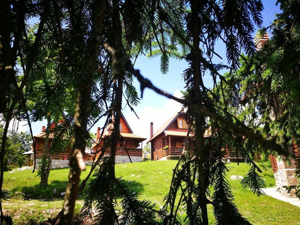 Photo 24