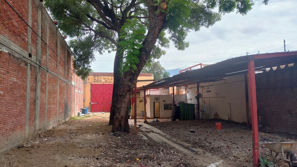 Iguana Co-living