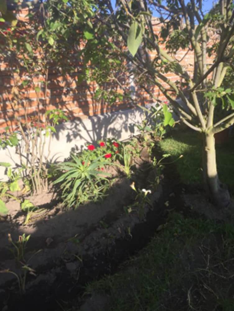 Photo 18