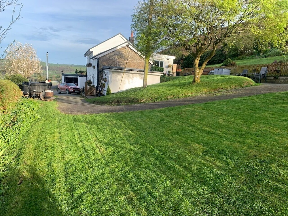 BroomBush