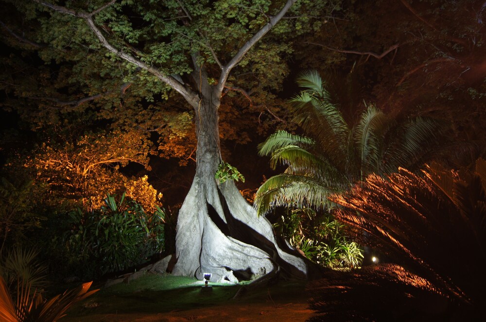 Photo 40