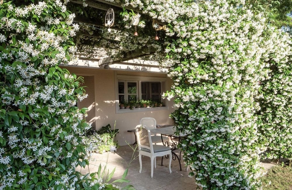 Enchanting 22 000m2 Property and Elegant 5 Bedroom Manor