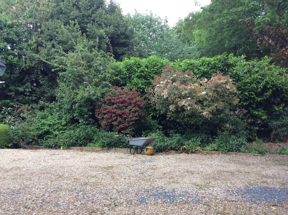 Photo 21