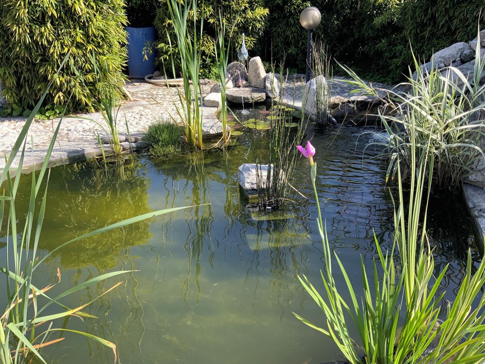 Villa Rosy B&B