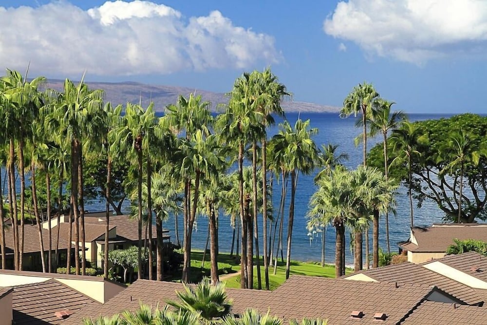 Wailea Elua, #0106 1 Bedroom Condo by RedAwning view 5