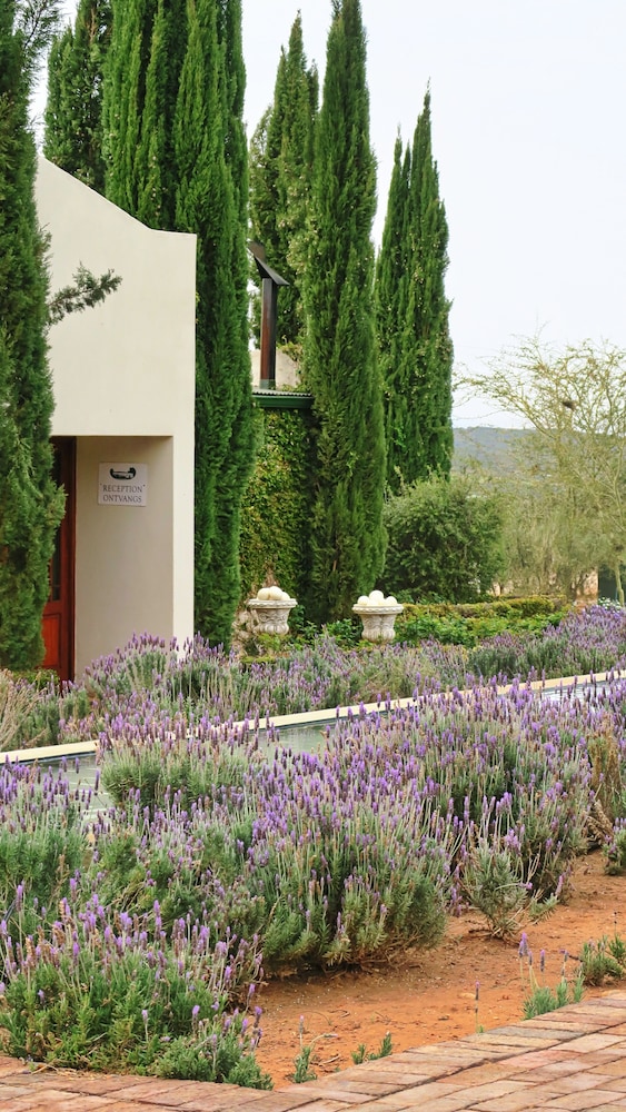 Berluda Farmhouse & Cottages