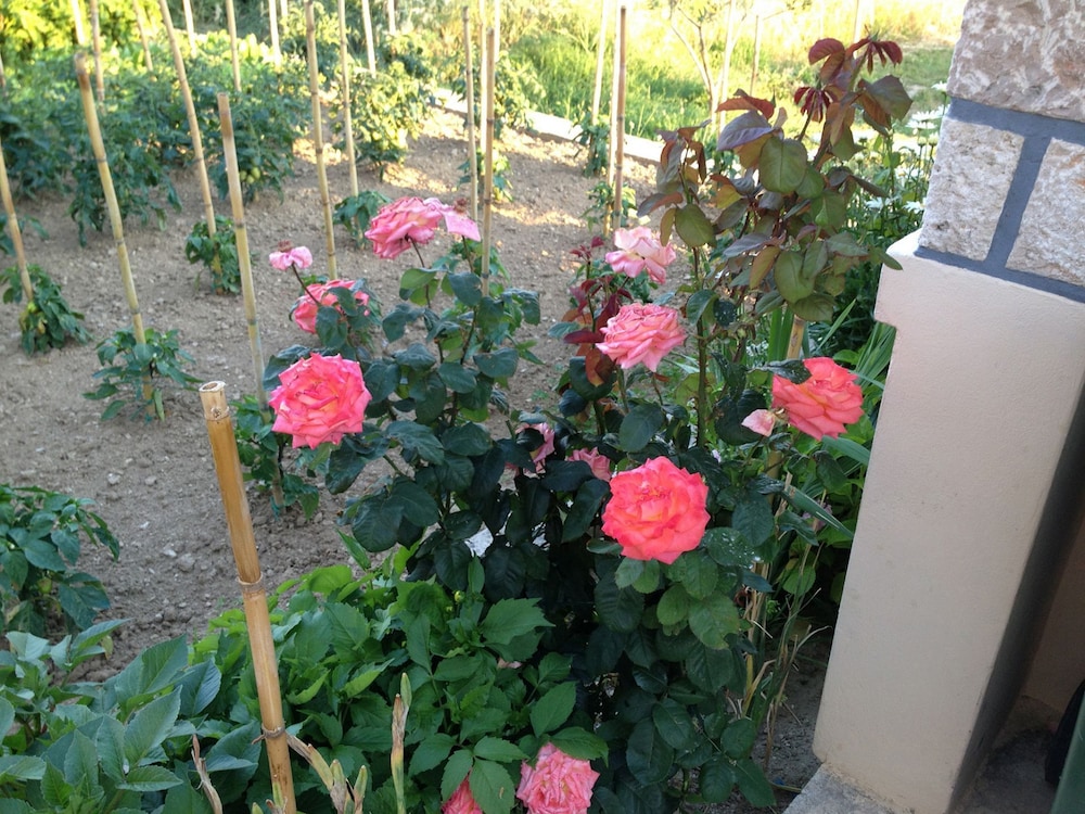 Adriatic - With Beautiful Garden - A3 view 5