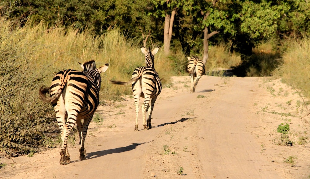 Fathala Wildlife Reserve