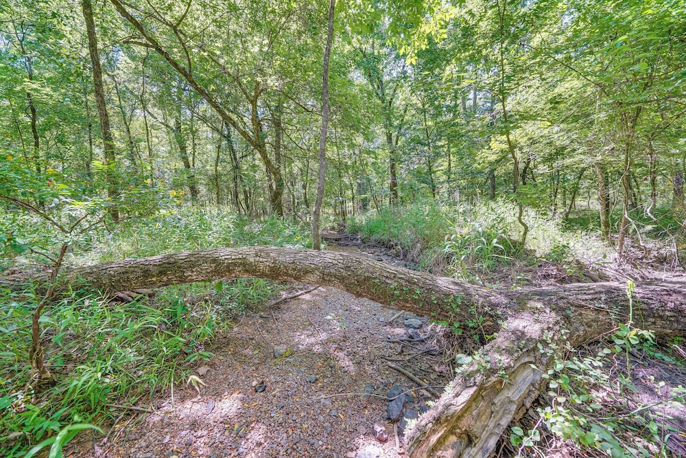Creekside Cabin w/ Views & Hot Tub in Broken Bow