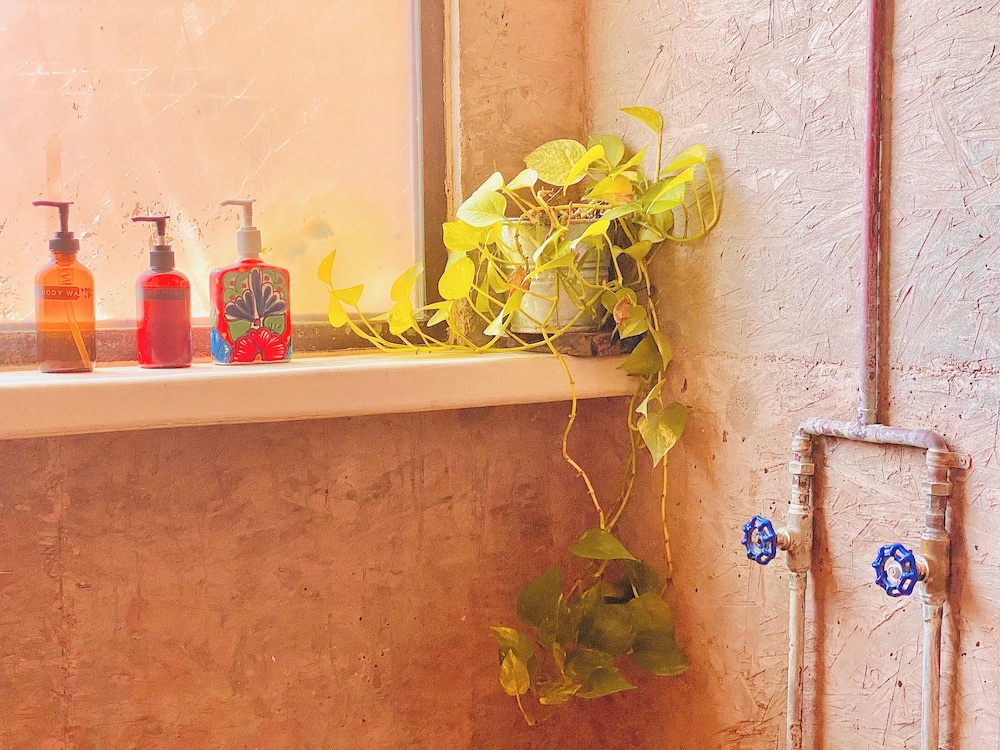 Perro Surfero Hotel Boutique - Todos Santos, BCS