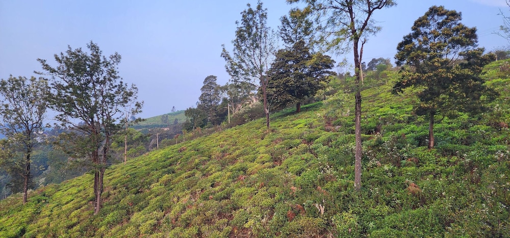 The Ark Haven Ooty by Scenic Serenity Stays