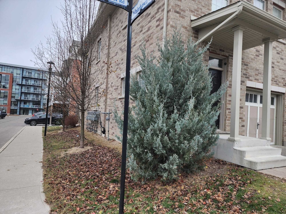 Kitchener Vacations - Beautiful Three Bedroom House - Property Image 2