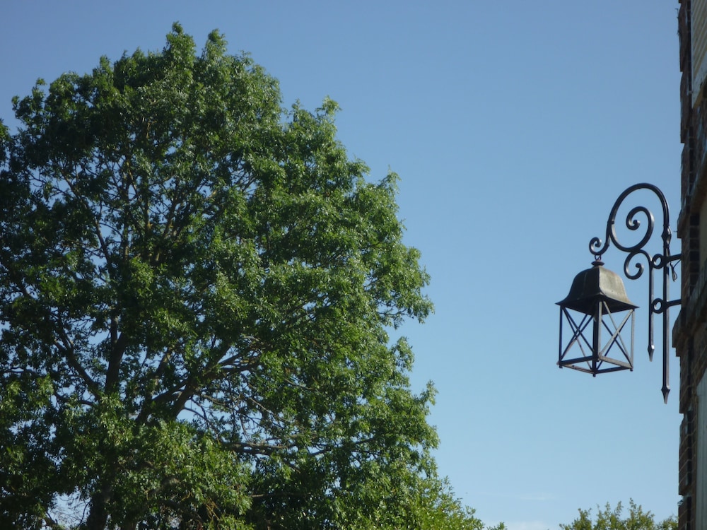 Les Tuileries du Buisson view 4